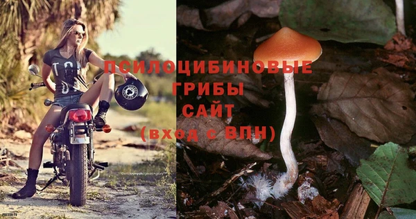 spice Арсеньев